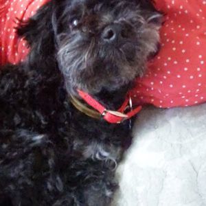 Meet your Posher, Lya